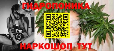 прущие грибы Будённовск