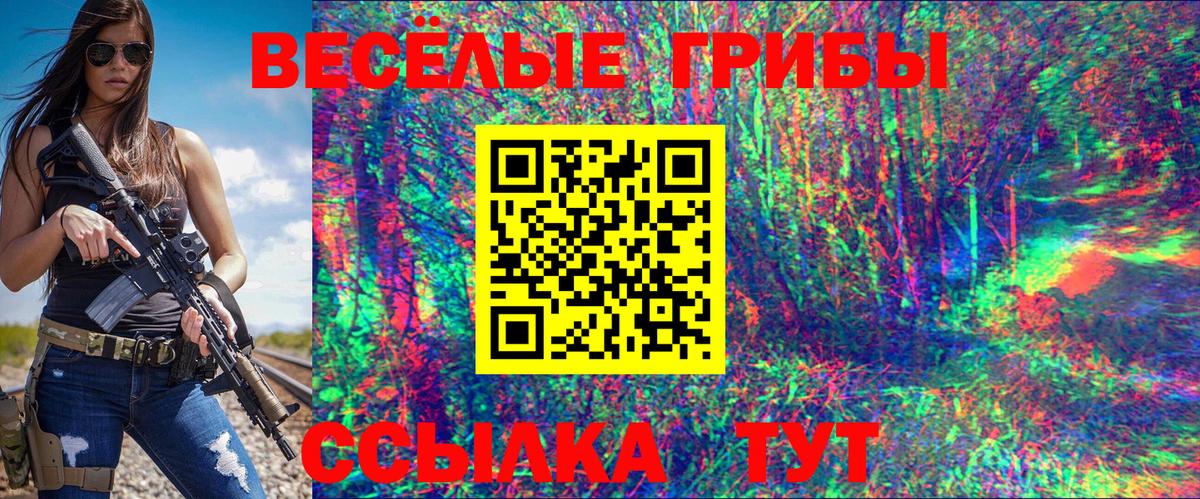 Псилоцибиновые грибы GOLDEN TEACHER  Вход с VPN  Узловая 