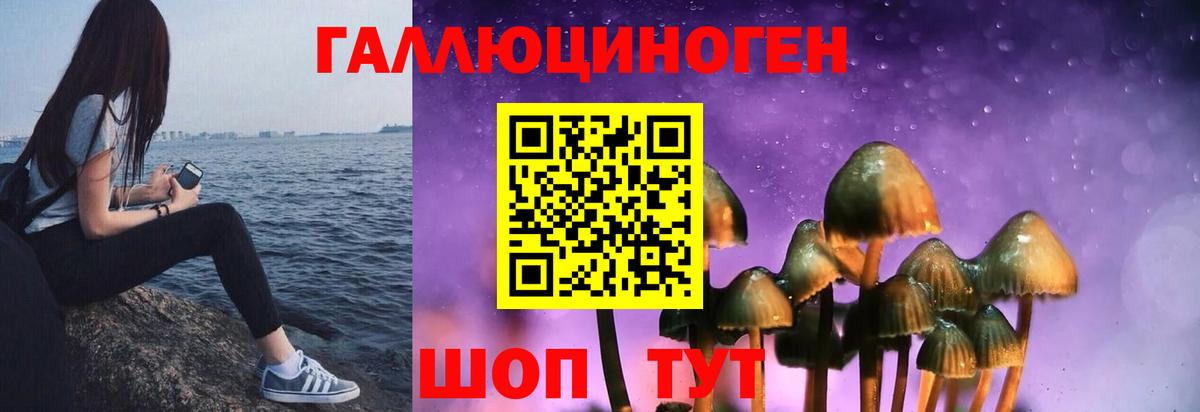 Галлюциногенные грибы мухоморы Узловая
